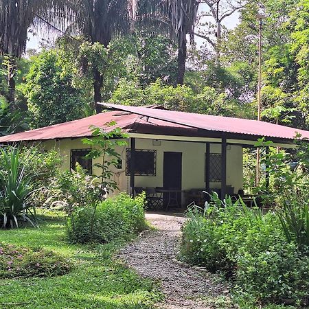 Four Monkeys Eco Lodge Jungle & Beach - The House Cabo Matapalo Eksteriør billede