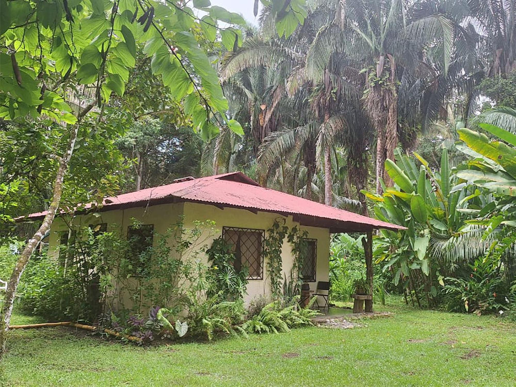 Four Monkeys Eco Lodge Jungle & Beach - The House Cabo Matapalo Eksteriør billede
