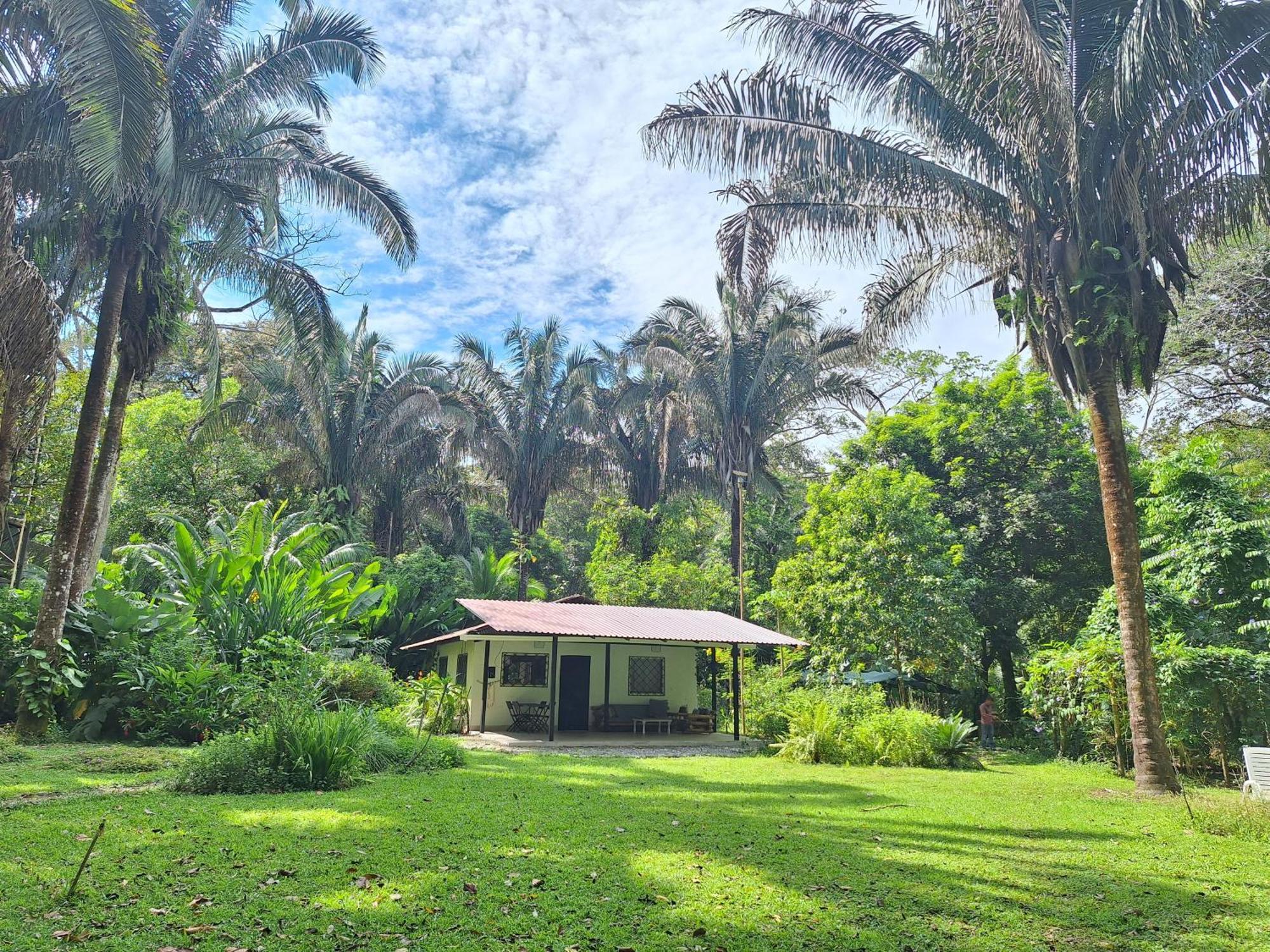 Four Monkeys Eco Lodge Jungle & Beach - The House Cabo Matapalo Eksteriør billede